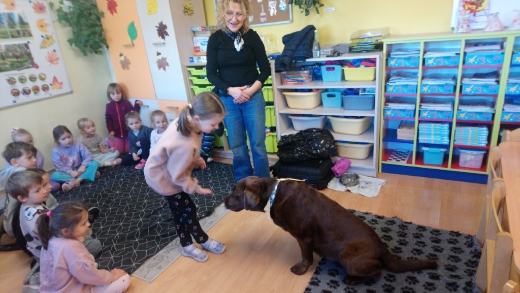 Dogoterapia grupa  misie