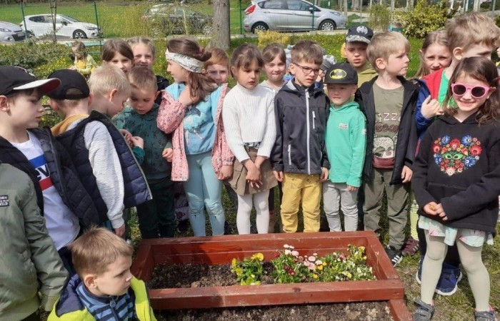 grupa żabki