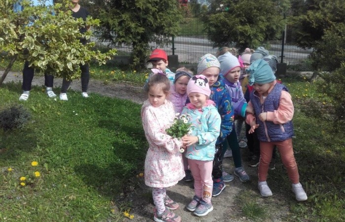 Grupa Biedronki