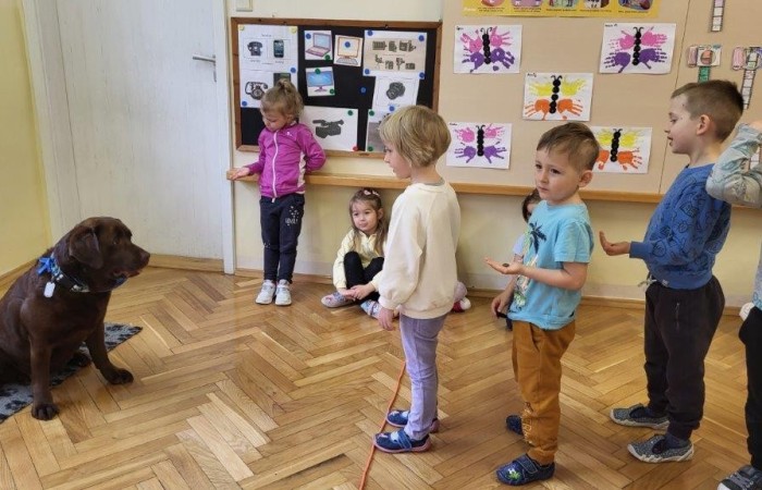 Grupa Liski