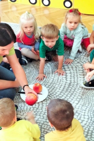 Grupa Nutki