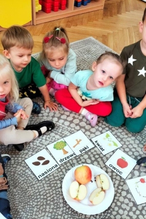 Grupa Nutki