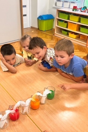 Grupa Nutki