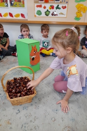 Grupa Nutki
