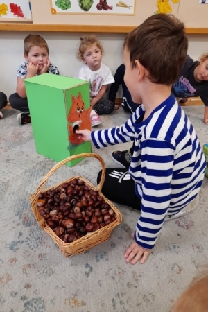 Grupa Nutki