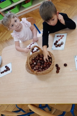 Grupa Nutki
