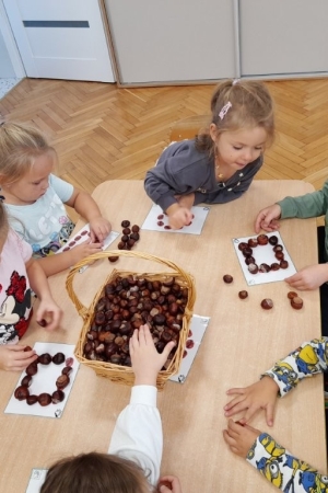 Grupa Nutki