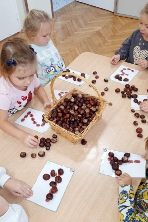 Grupa Nutki